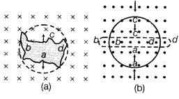 CBSE Sample Papers for Class 12 Physics Set 5 with Solutions 17