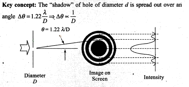 NCERT Exemplar Class 12 Physics Chapter 10 Wave Optics Img 13