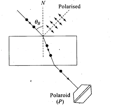 NCERT Exemplar Class 12 Physics Chapter 10 Wave Optics Img 2