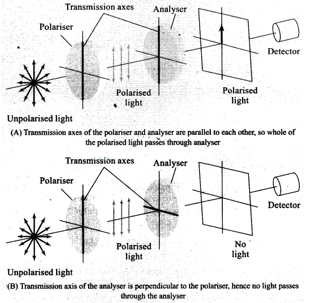 NCERT Exemplar Class 12 Physics Chapter 10 Wave Optics Img 4