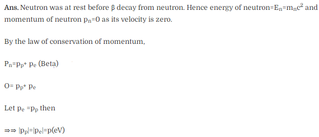 NCERT Exemplar Class 12 Physics Chapter 13 Nuclei Img 30