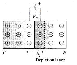 NCERT Exemplar Class 12 Physics Chapter 14 Semiconductor Electronics Materials, Devices and Simple Circuits Img 21