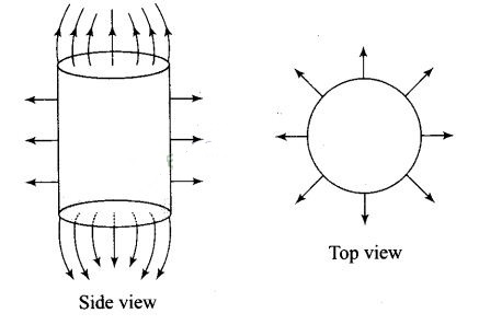 NCERT Exemplar Class 12 Physics Chapter 1 Electric Charges and Fields Img 22