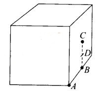 NCERT Exemplar Class 12 Physics Chapter 1 Electric Charges and Fields Img 24