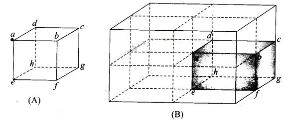 NCERT Exemplar Class 12 Physics Chapter 1 Electric Charges and Fields Img 25