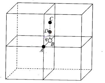 NCERT Exemplar Class 12 Physics Chapter 1 Electric Charges and Fields Img 26