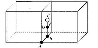 NCERT Exemplar Class 12 Physics Chapter 1 Electric Charges and Fields Img 27