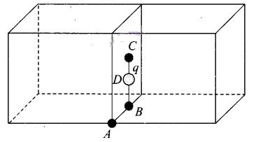 NCERT Exemplar Class 12 Physics Chapter 1 Electric Charges and Fields Img 28