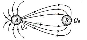 NCERT Exemplar Class 12 Physics Chapter 1 Electric Charges and Fields Img 35