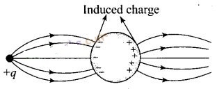 NCERT Exemplar Class 12 Physics Chapter 1 Electric Charges and Fields Img 5